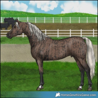 Horse Color:Liver Chestnut Mushroom  and Liver Red Dun Mushroom 