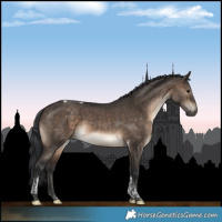 Horse Color:Brown Dun Tobiano 