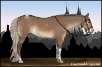 Horse Color:Silver Brown Dun Tobiano 