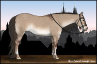 Horse Color:Liver Red Dun Tobiano 