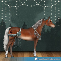 Horse Color:Silver Bay Tobiano 