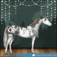 Horse Color:White Spotted Liver Chestnut Rabicano 