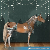Horse Color:White Spotted Chocolate Palomino 