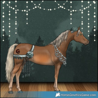 Horse Color:Chocolate Palomino Rabicano 