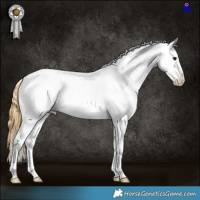 Horse Color:Buckskin Appaloosa 
