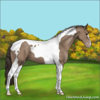 Horse Color:Classic Champagne Tobiano 