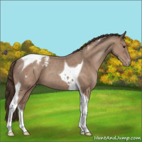 Horse Color:Classic Champagne Tobiano Varnish