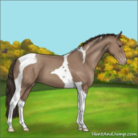Horse Color:Classic Champagne Tobiano 