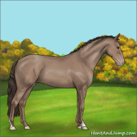 Horse Color:Classic Champagne 