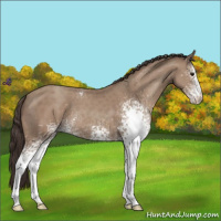 Horse Color:White Spotted Classic Champagne 