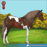 Horse Color:Liver Chestnut Tobiano 