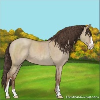 Horse Color:Classic Champagne Dun Sabino 