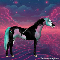 Horse Color:Watercolor Blue Onyx Sabino Tobiano Appaloosa 