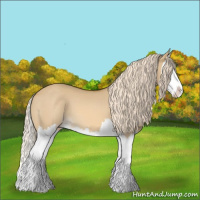 Horse Color:Palomino Dun Splash