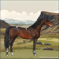 Horse Color:Brown Tobiano Rabicano
