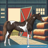Horse Color:Liver Chestnut Tobiano Rabicano 