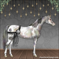 Horse Color:Nacre White Spotted Blue Onyx Appaloosa