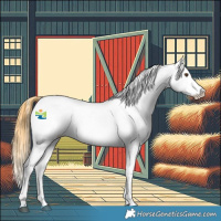 Horse Color:Buckskin Roan Dun Appaloosa 