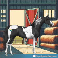 Horse Color:Black Tobiano 