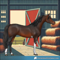 Horse Color:Bay Tobiano 