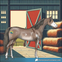Horse Color:Liver Red Dun Mushroom Sabino 