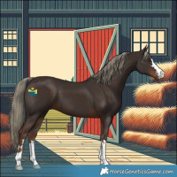 Horse Color:Liver Chestnut Mushroom 