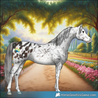 Horse Color:Brown Mushroom Appaloosa 