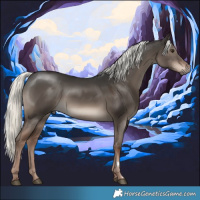 Horse Color:Liver Red Dun Mushroom 