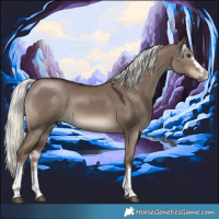 Horse Color:Liver Red Dun Mushroom 