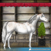 Horse Color:White Spotted Liver Red Dun Pearl Onyx Mushroom Splash Rabicano Brindle 