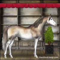 Horse Color:Liver Red Onyx Mushroom Sabino Splash Rabicano Brindle 