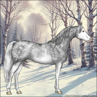 Horse Color:White Spotted Silver Black Chinchilla Splash Rabicano 