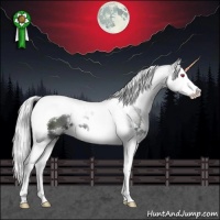 Horse Color:White Spotted Silver Black Chinchilla Splash Tobiano 