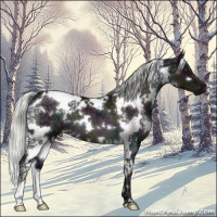 Horse Color:White Spotted Midnight Liver Chestnut Ice Mushroom 