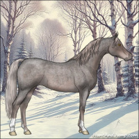 Horse Color:Platinum Liver Red Roan 