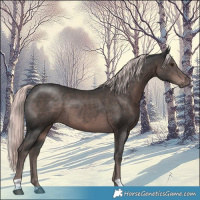 Horse Color:Platinum Liver Chestnut 