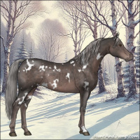 Horse Color:Platinum White Spotted Liver Chestnut Rabicano 