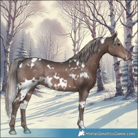 Horse Color:Platinum White Spotted Liver Chestnut 