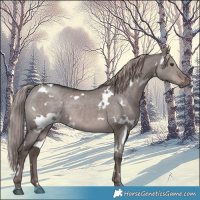 Horse Color:Platinum White Spotted Liver Red Dun 