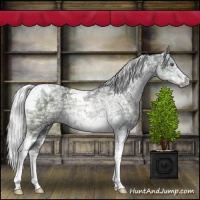 Horse Color:Silver Black Chinchilla Ice Tobiano 