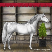 Horse Color:White Spotted Silver Grullo Chinchilla Ice Tobiano 