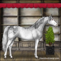 Horse Color:White Spotted Silver Black Chinchilla Ice Tobiano 