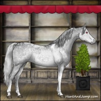 Horse Color:Silver Grullo Chinchilla Ice Tobiano 