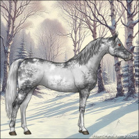 Horse Color:White Spotted Silver Black Chinchilla Ice Tobiano 