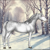 Horse Color:White Spotted Silver Grullo Chinchilla Ice Brindle 