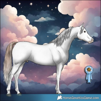 Horse Color:White Spotted Brown Appaloosa Rabicano 