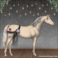 Horse Color:Cremello 