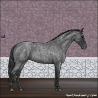 Horse Color:Blue Roan Snowflake Varnish