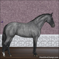 Horse Color:Blue Roan Varnish 