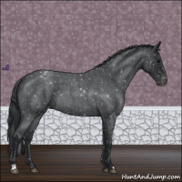 Horse Color:Blue Roan Snowflake Varnish 
